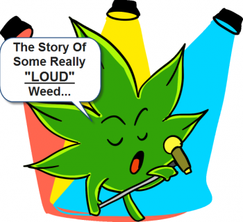 The Story of Some Really LOUD Weed