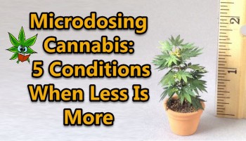 Microdosing Cannabis - 5 Conditions When Less Is More
