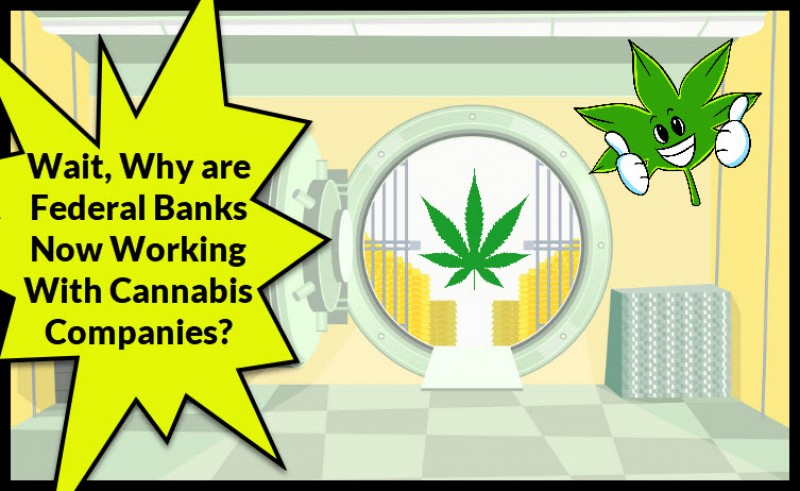 Federal banks with cannabis companies