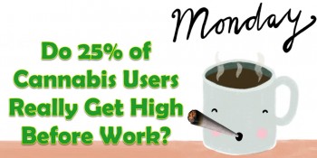 Do 25% of Cannabis Users Really Get High Before Work?
