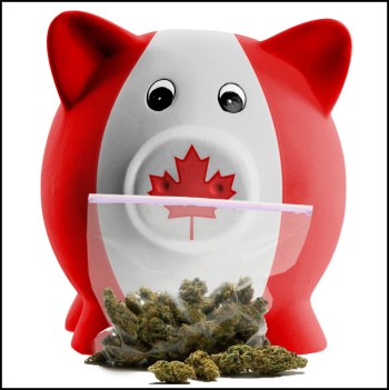 The Canadian Government Has Collected Over $1 Billion in Cannabis Taxes Since Legalization Began in 2018