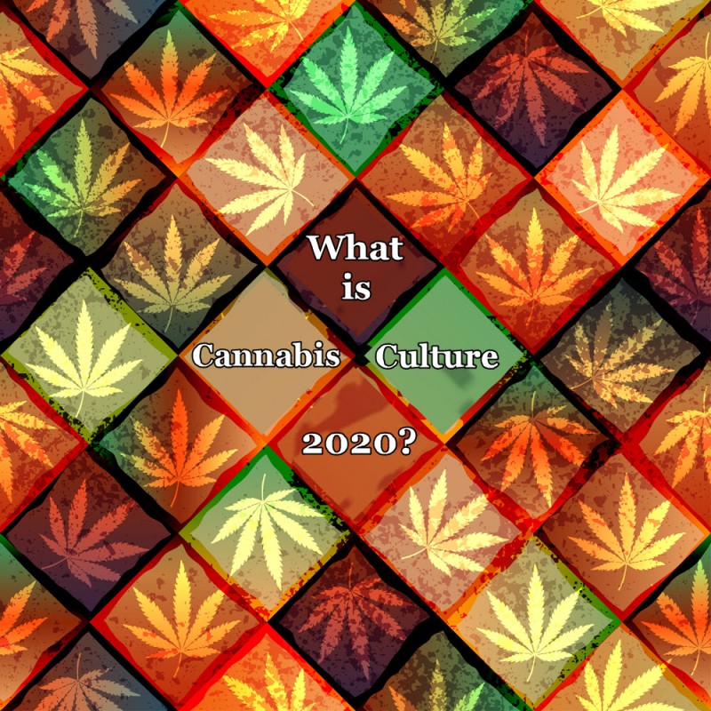 what is cannabis culture