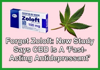 Forget Zoloft: New Study Says CBD Is A ‘Fast-Acting Antidepressant’