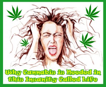 Why Cannabis is Needed in this Insanity Called Life