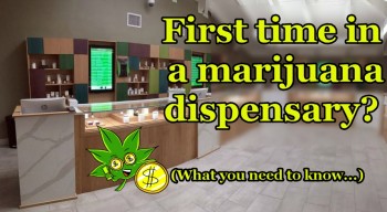 First Time In A Dispensary?