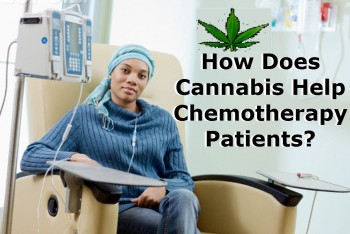 How Does Cannabis Help Chemotherapy Patients Exactly?