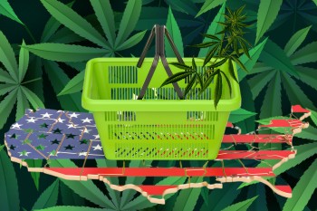 What are the Best States for Starting a Cannabis Business in 2024? - Marijuana Legal Experts Weigh In!