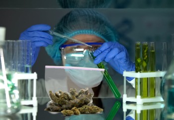 The End of Lab Shopping for the Highest THC Test Results? - Missouri to Require Labs Verify Each Other's Results