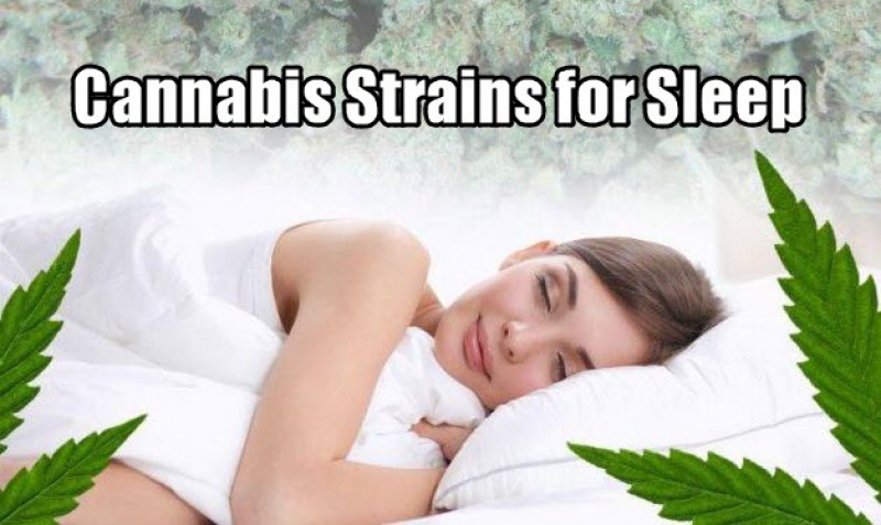 cannabis sleeping aids