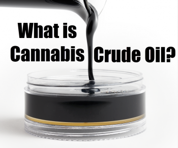 What is Cannabis Crude Oil (CCO)?