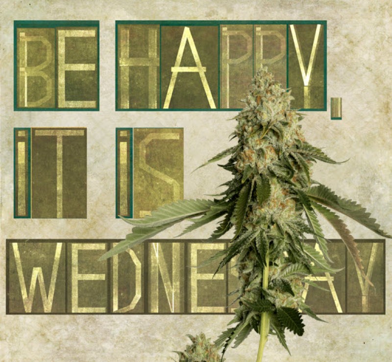 cannabis shopping trends Green Wednesday