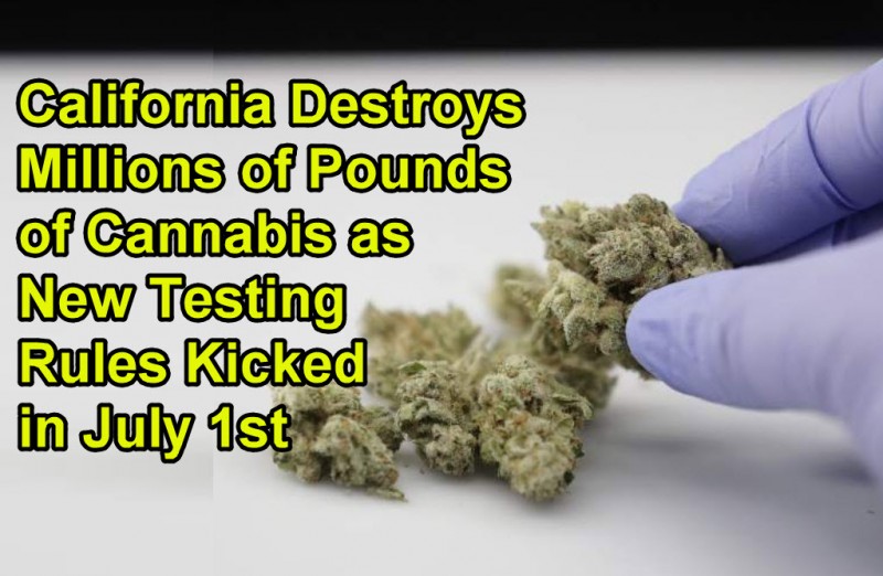 California cannabis testing