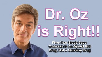 Dr. Oz Is Proven Right as Study Shows Cannabis Gets People Off Opioids