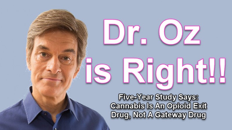 Dr. Oz Cannabis Opiates