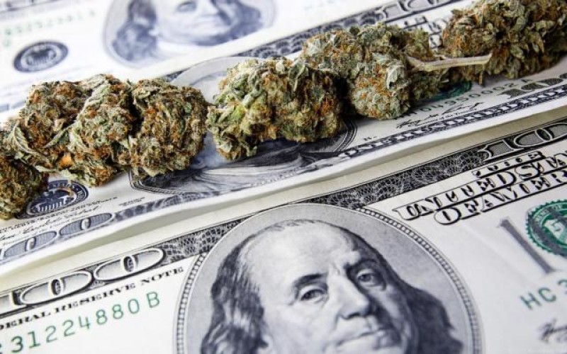 The budding cannabis industry is lucrative.