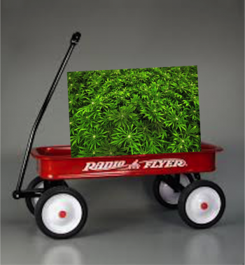 Happy National Red Wagon Day!