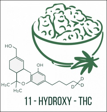 11 hydroxy thc in edibles
