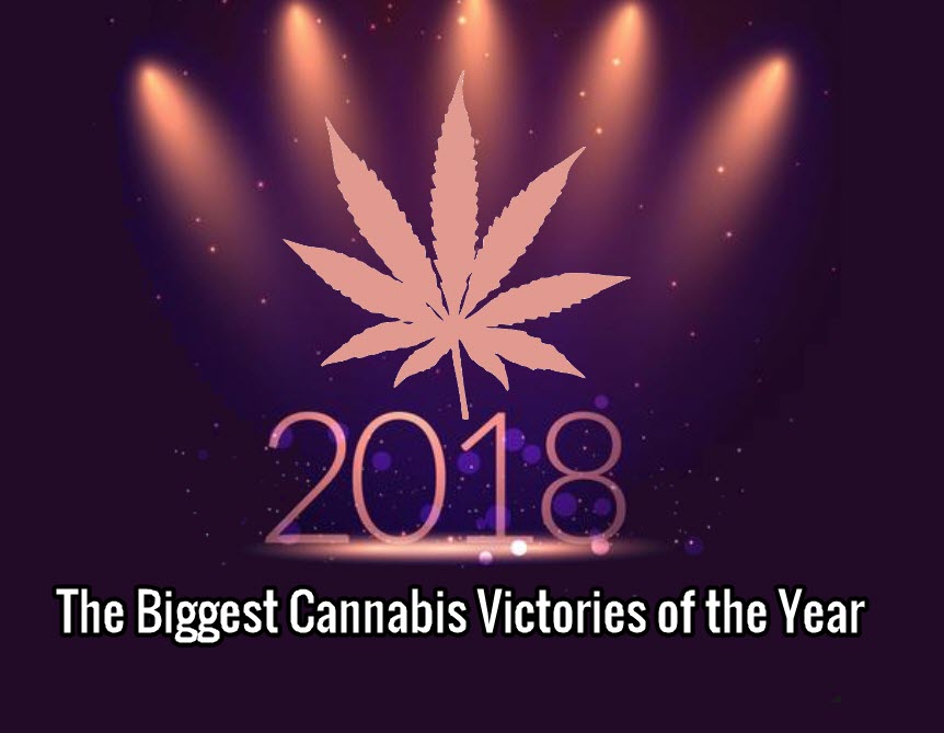 THE YEAR ON CANNABIS