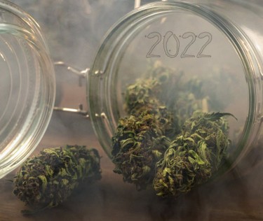 2022 cannabis strains