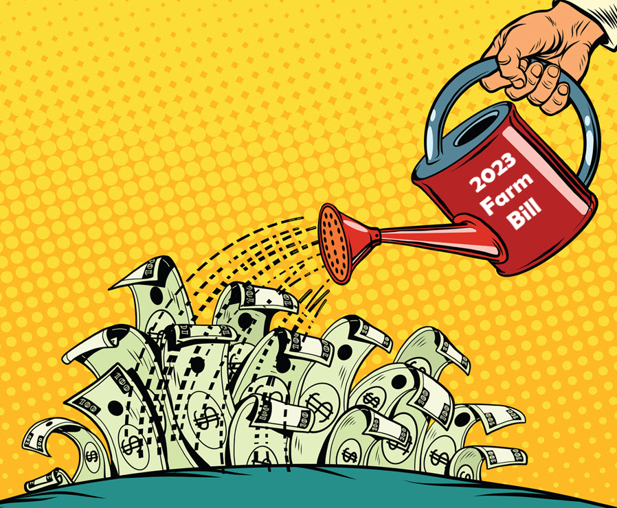 Best CBD Gummies Reddit: Top-Rated Products and User Reviews