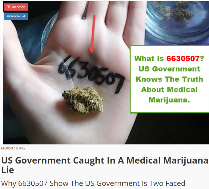 us government on cannabis patent