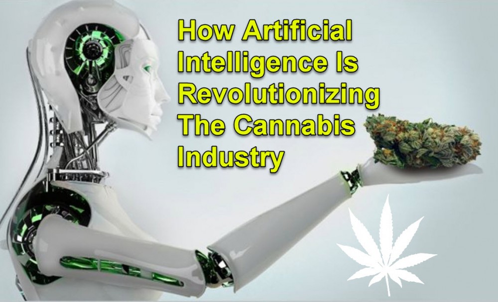 AI IN THE MARIJUANA INDUSTRY