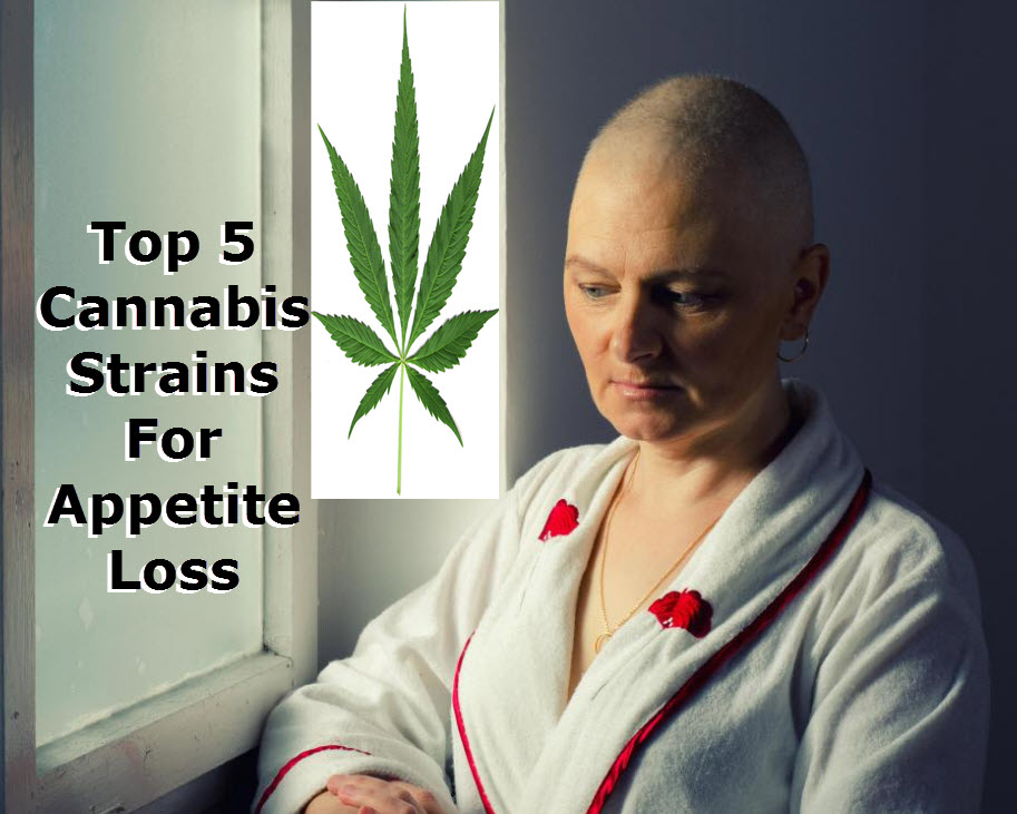 MARIJUANA STRAINS FOR APPETITE LOSS