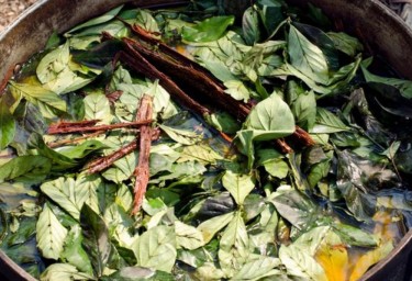 AYAHUASCA OR CANNABIS FOR DEPRESSION