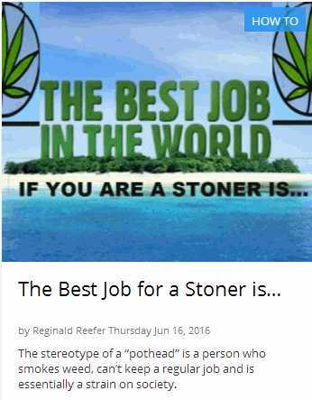 BEST STONER JOBS