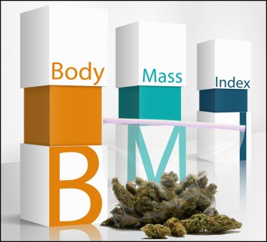 BMI cannabis inflammatory