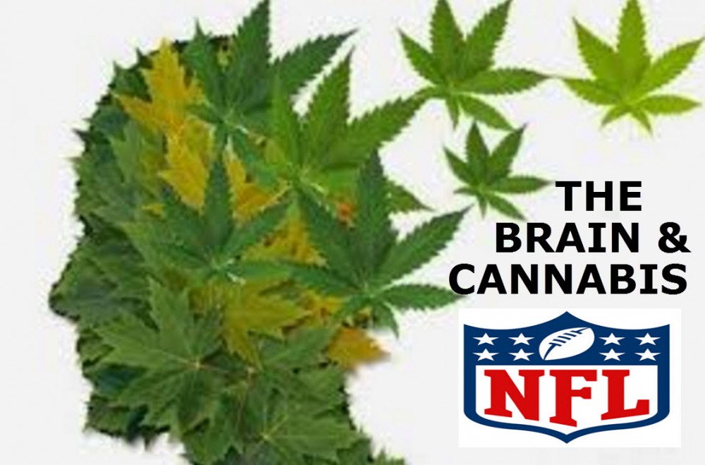 MARIJUANA FOR HEAD BRAIN INJURY