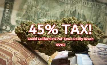 CALIFORNIA CANNABIS TAXES REACH 45%
