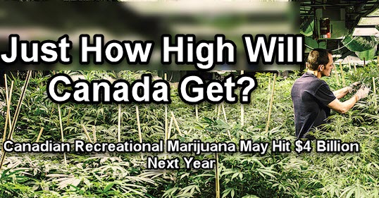 HOW MUCH CANNABIS IN CANADA