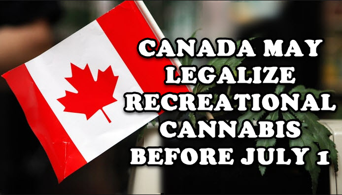 CANADIAN LEGALIZE CANNABIS JULY 1