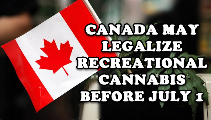 CANNABIS IN CANADA