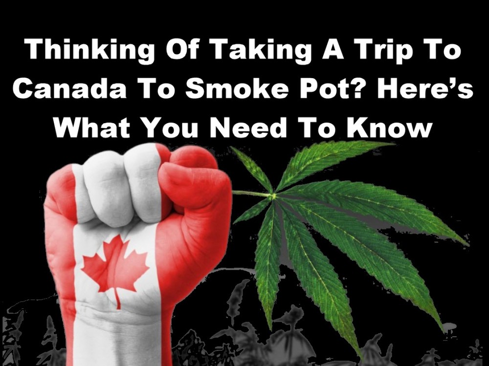 TRIP TO CANADA FOR MARIJUANA