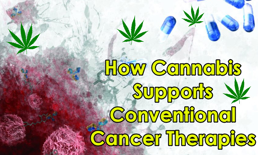 CANNABIS FOR CANCER TREATMENTS