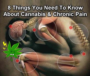 CANNABIS FOR CHRONIC PAIN CONDITIONS