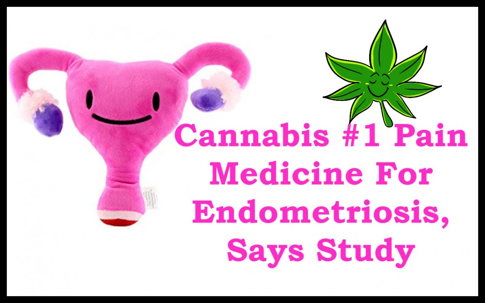 cannabis for endometriosis pain