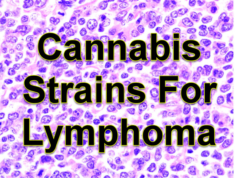 cananbis strains for lymphoma