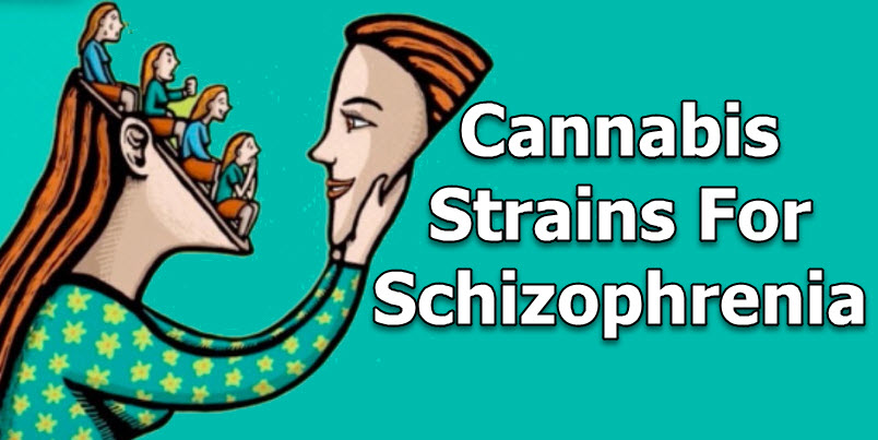 cannabis schizophrenia