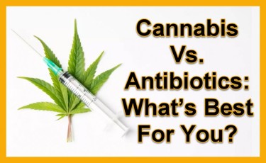 CANNABIS ANTIBOTICS