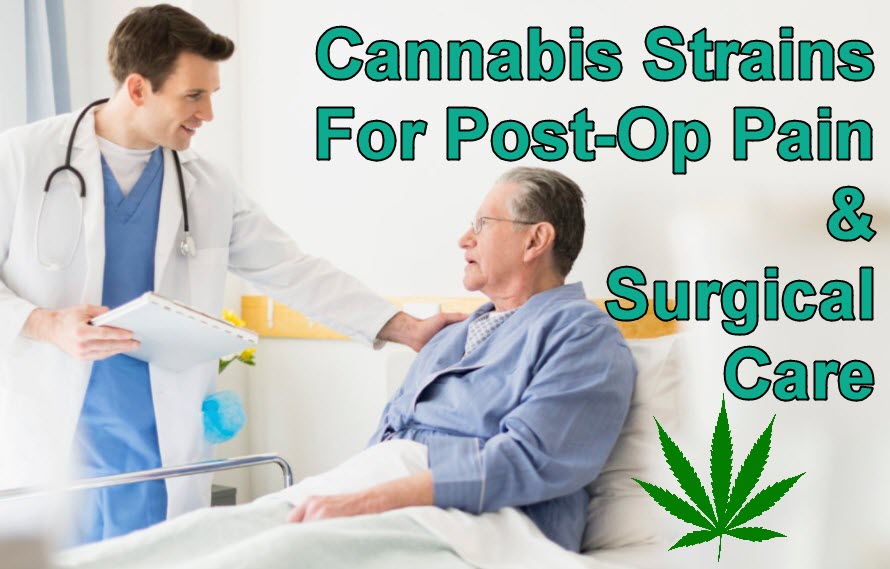 CANNABIS SURGERY CARE