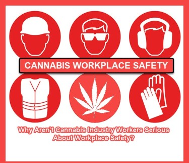 SAFETY RULES FOR CANNABIS WORKERS