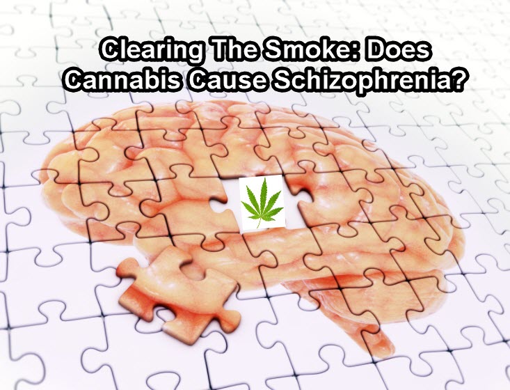 shizophrenia and cannabis strains