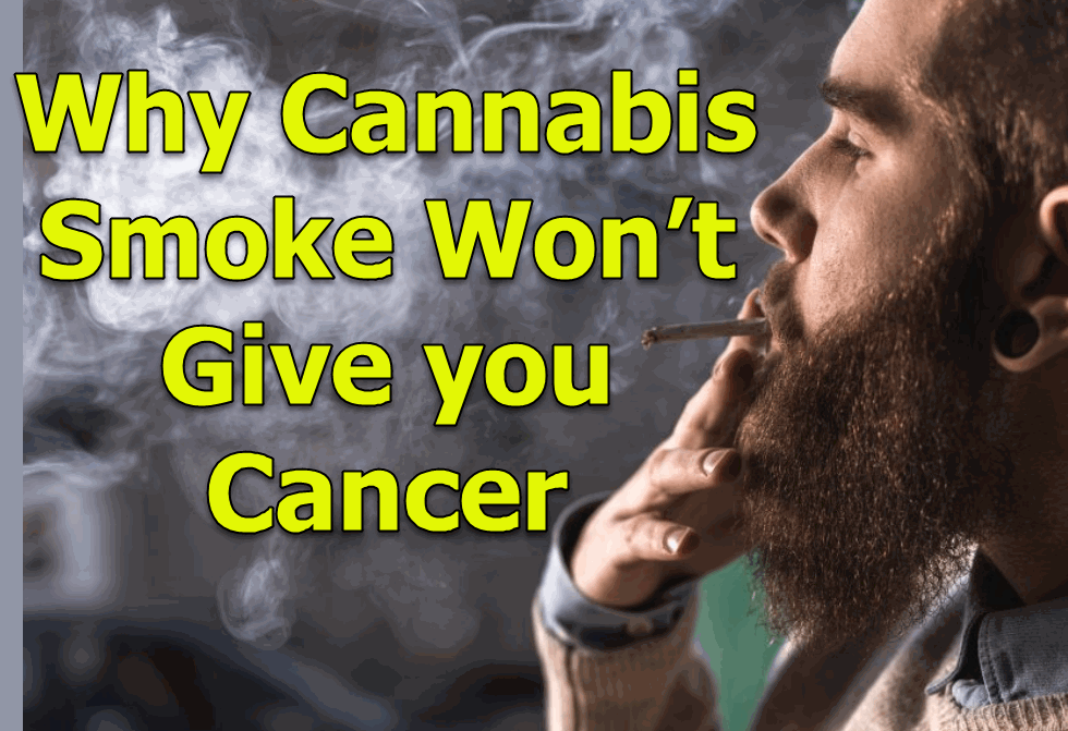 WHY SMOKING CANNABIS WON'T CAUSE CANCER