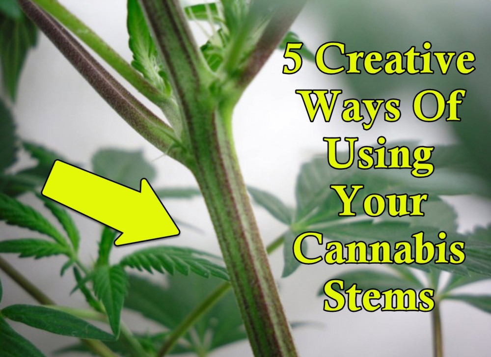 HOW TO USE CANNABIS STEMS