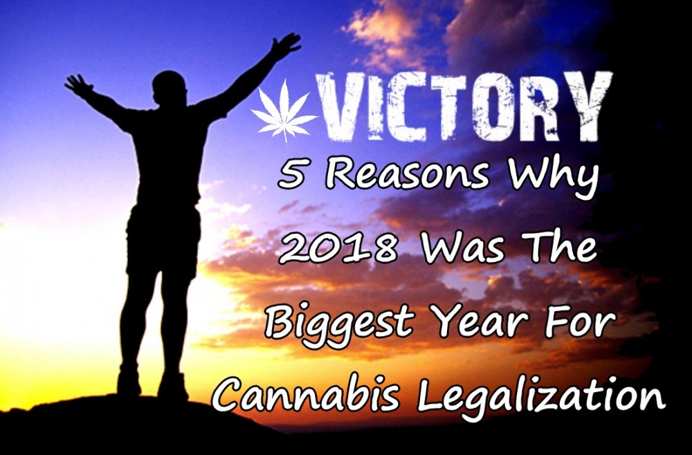 cannabis success in 2018