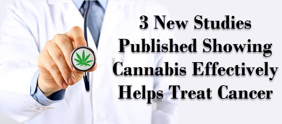 CANNABIS FOR CANCER STUDIES RELEASED