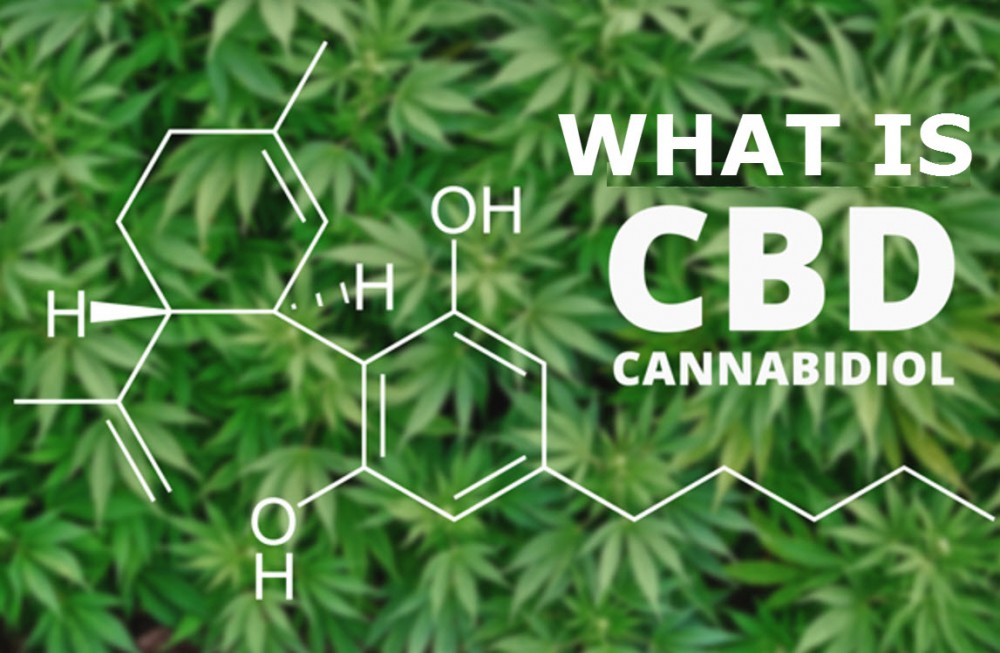 THE GUIDE TO CBD